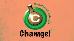 Chamgei FM logo