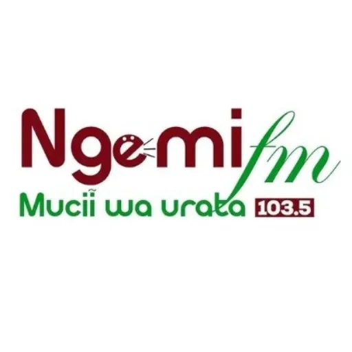 Ngemi FM logo